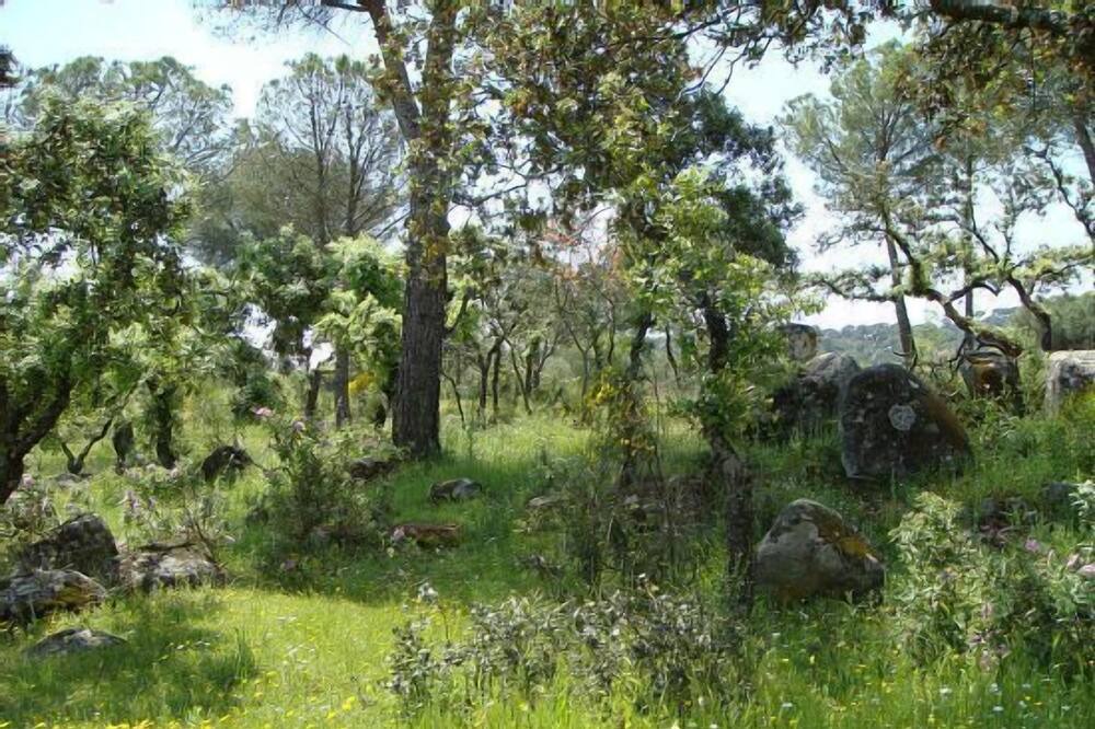 Photo of Outdoor in Andujar