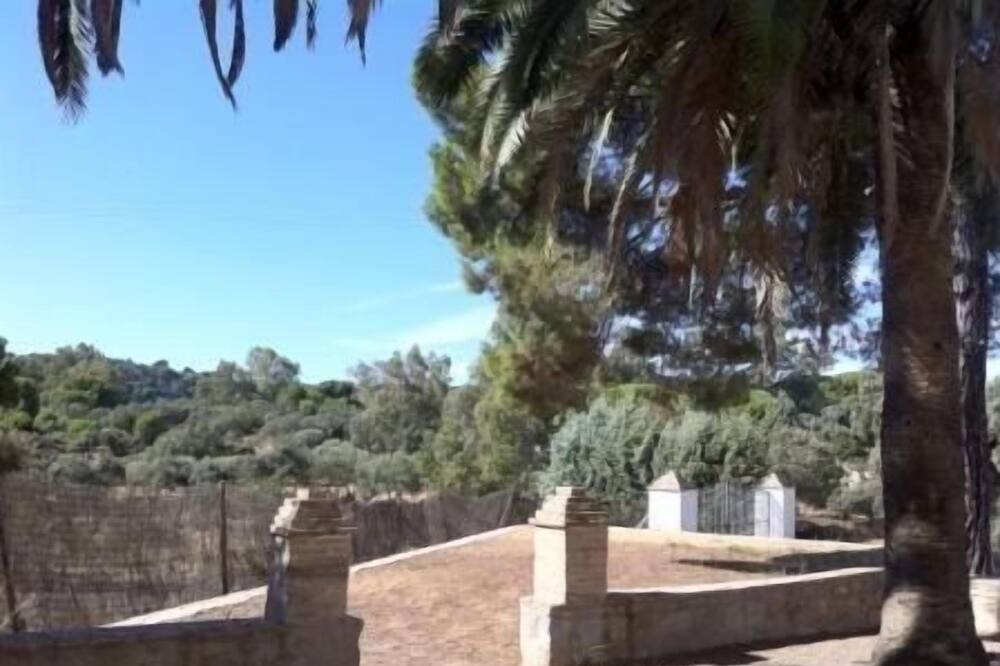 Photo of Outdoor in Andujar