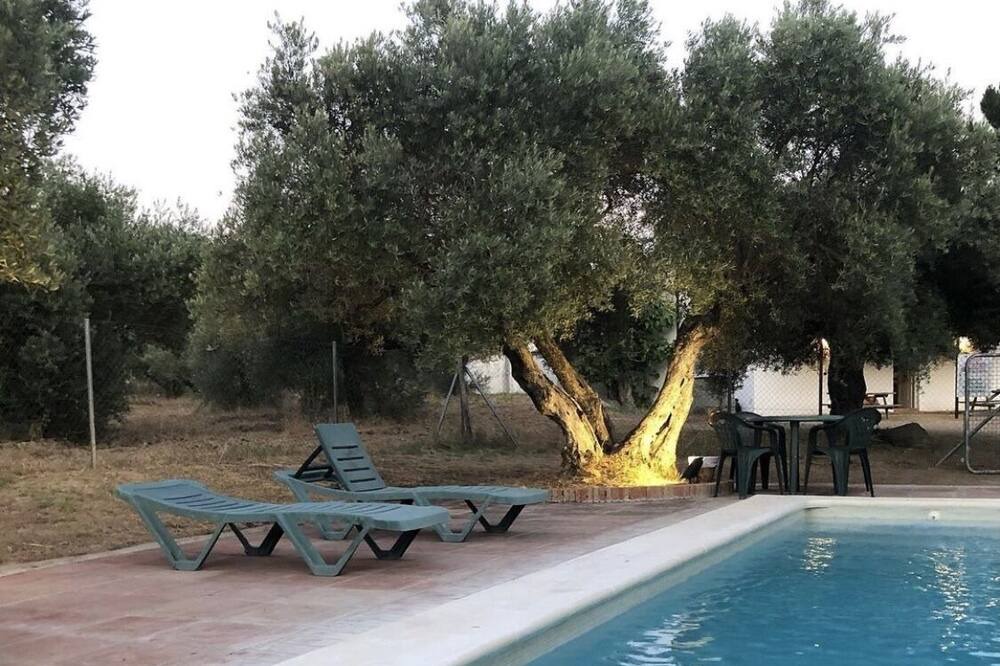 Photo of Outdoor in Andujar