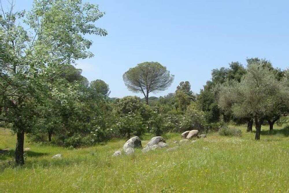 Photo of Others in Andujar