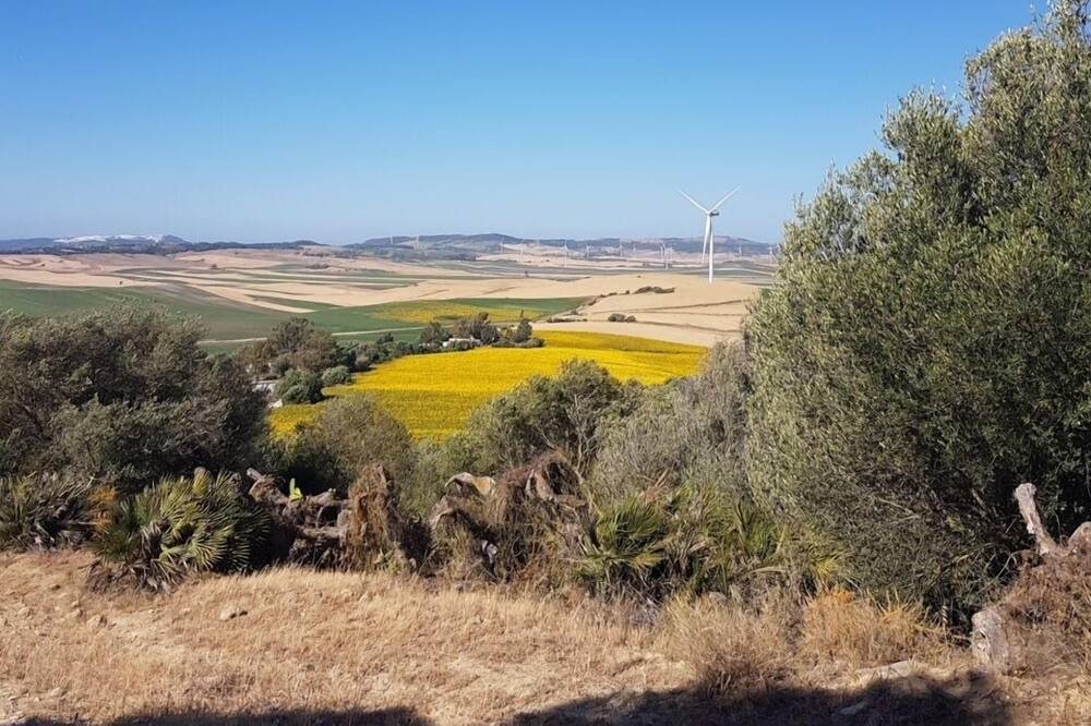 Photo of Others in Vejer de la Frontera