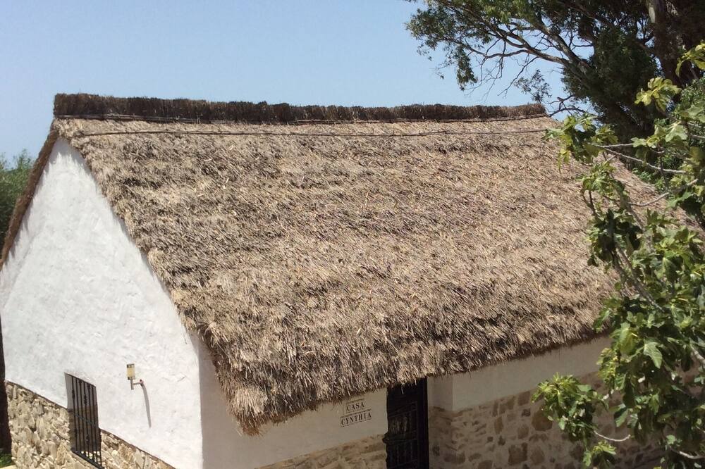 Photo of Outdoor in Vejer de la Frontera