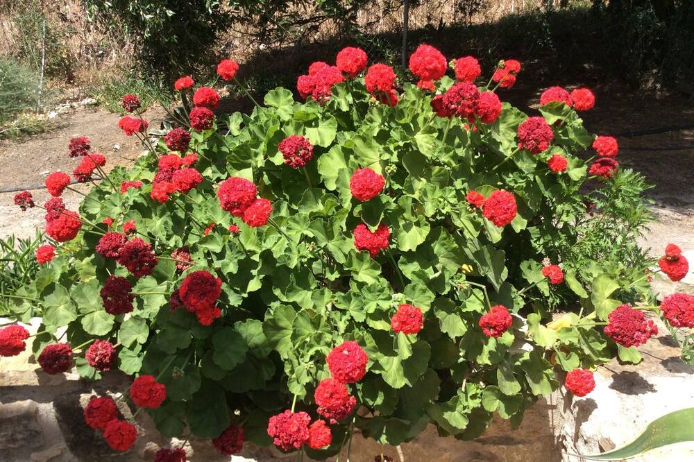 Photo of Outdoor in Vejer de la Frontera