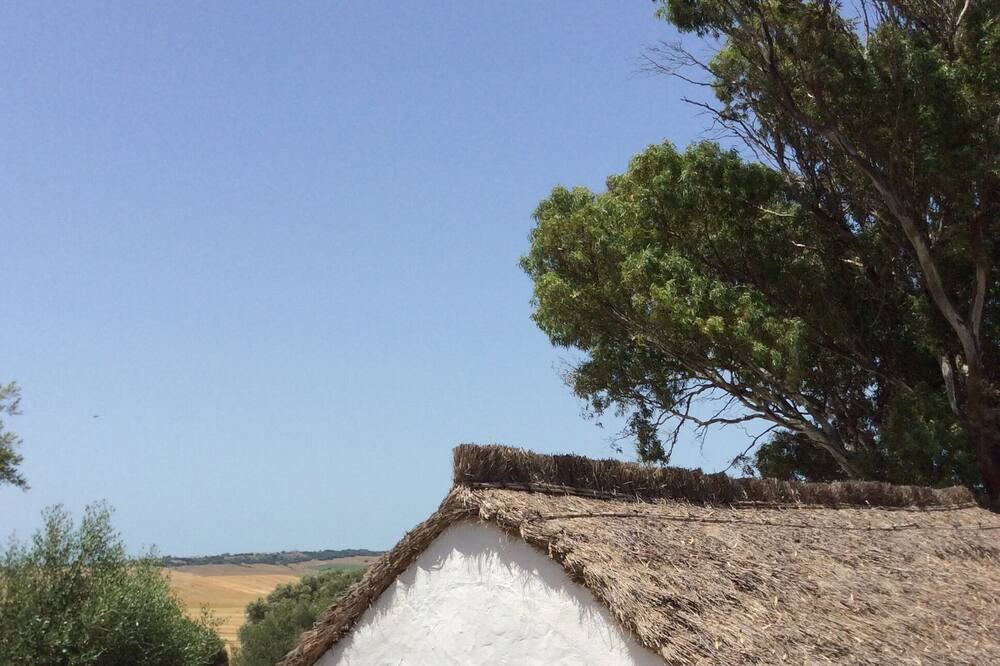 Photo of Outdoor in Vejer de la Frontera
