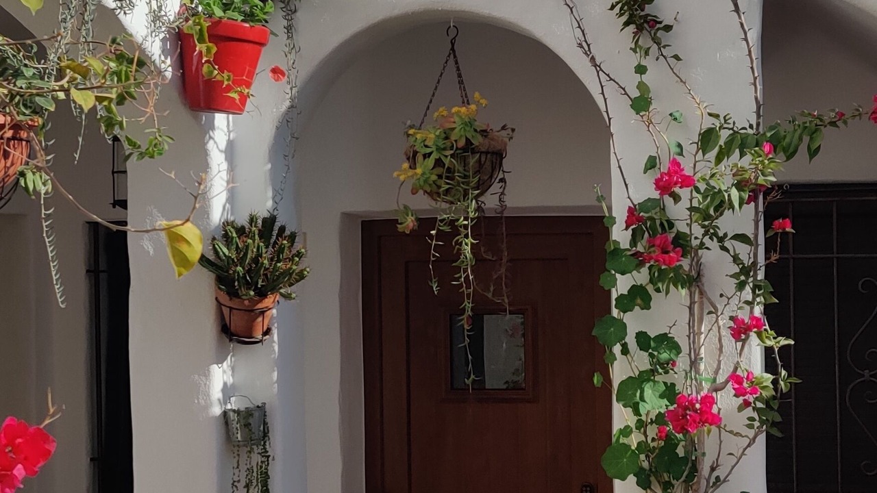 Photo of Outdoor in Conil de la Frontera City Center