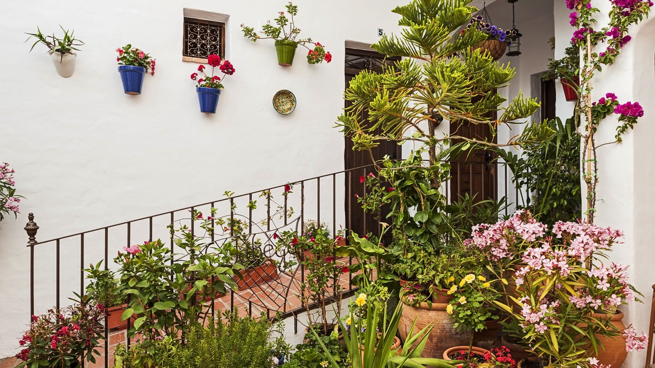 Photo of Outdoor in Conil de la Frontera City Center