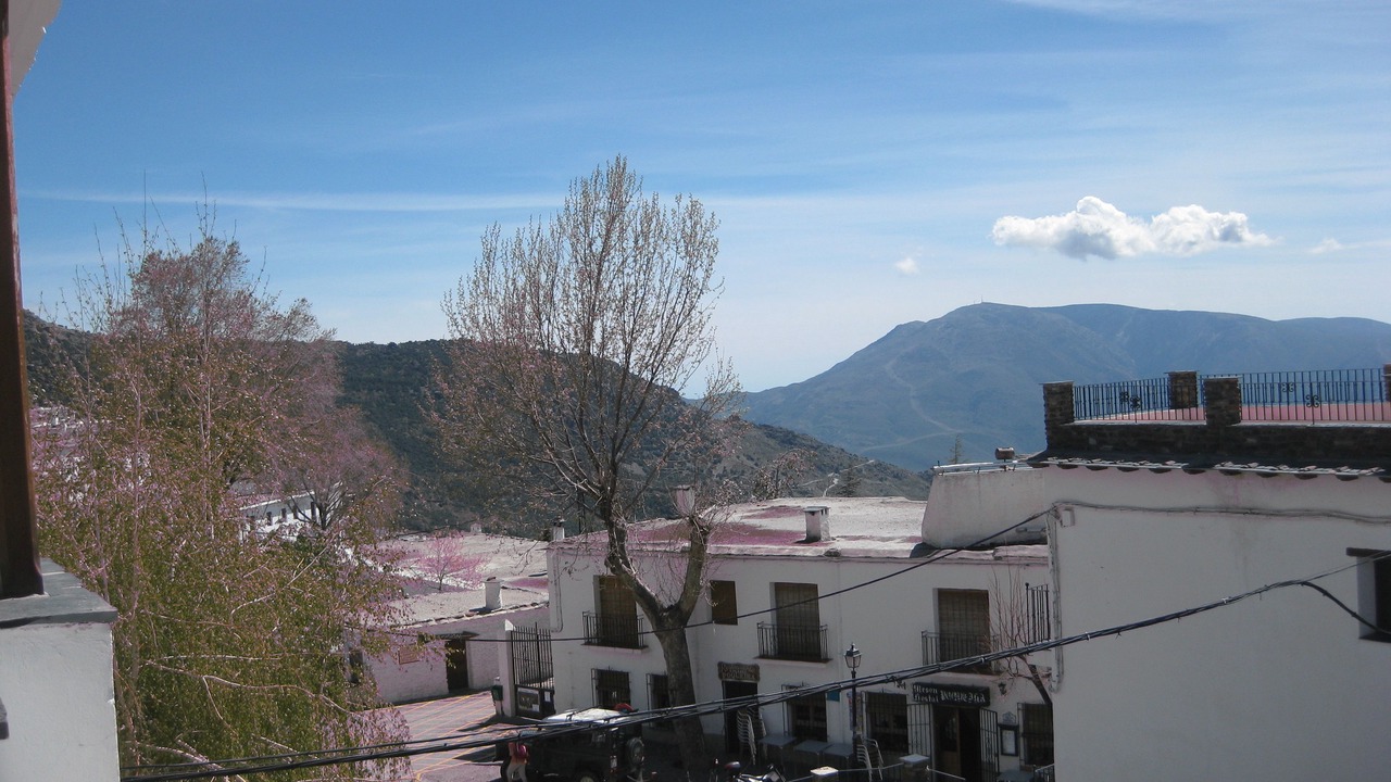 Photo of Others in Capileira