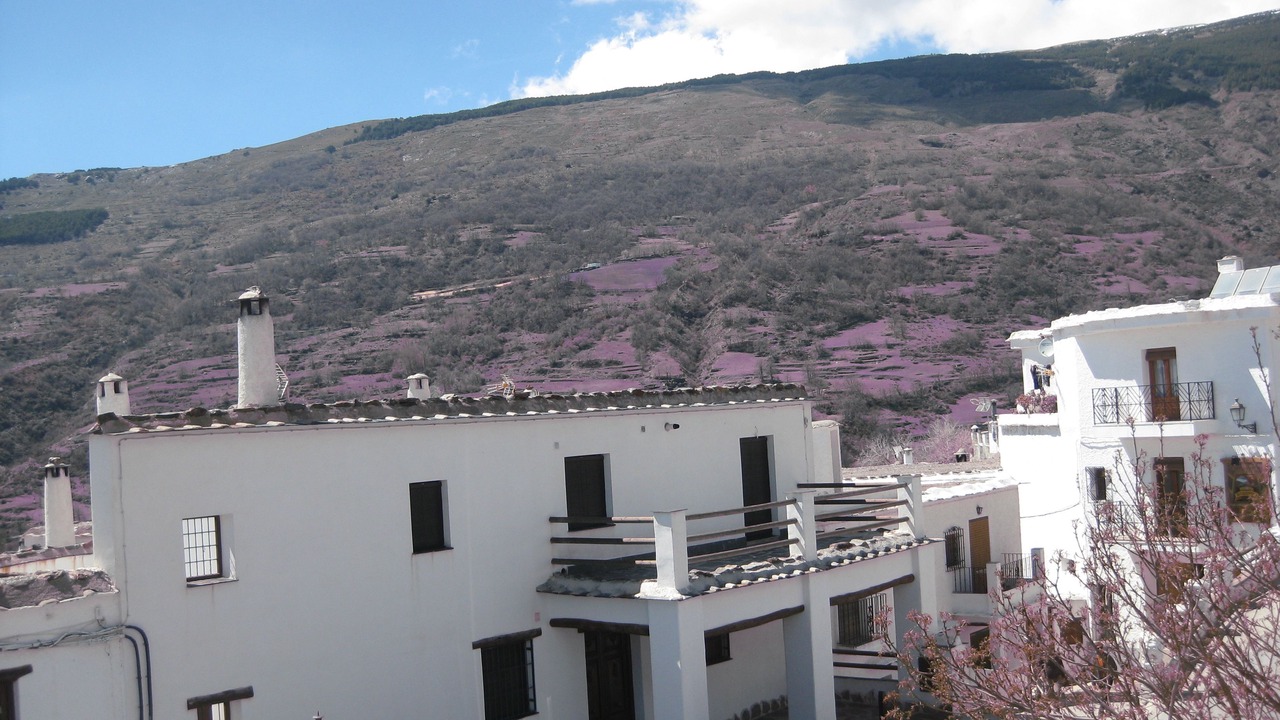 Photo of Others in Capileira