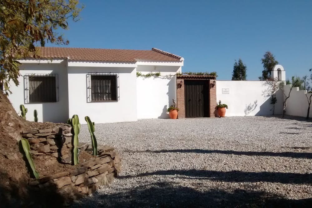 Photo of Others in Torrox