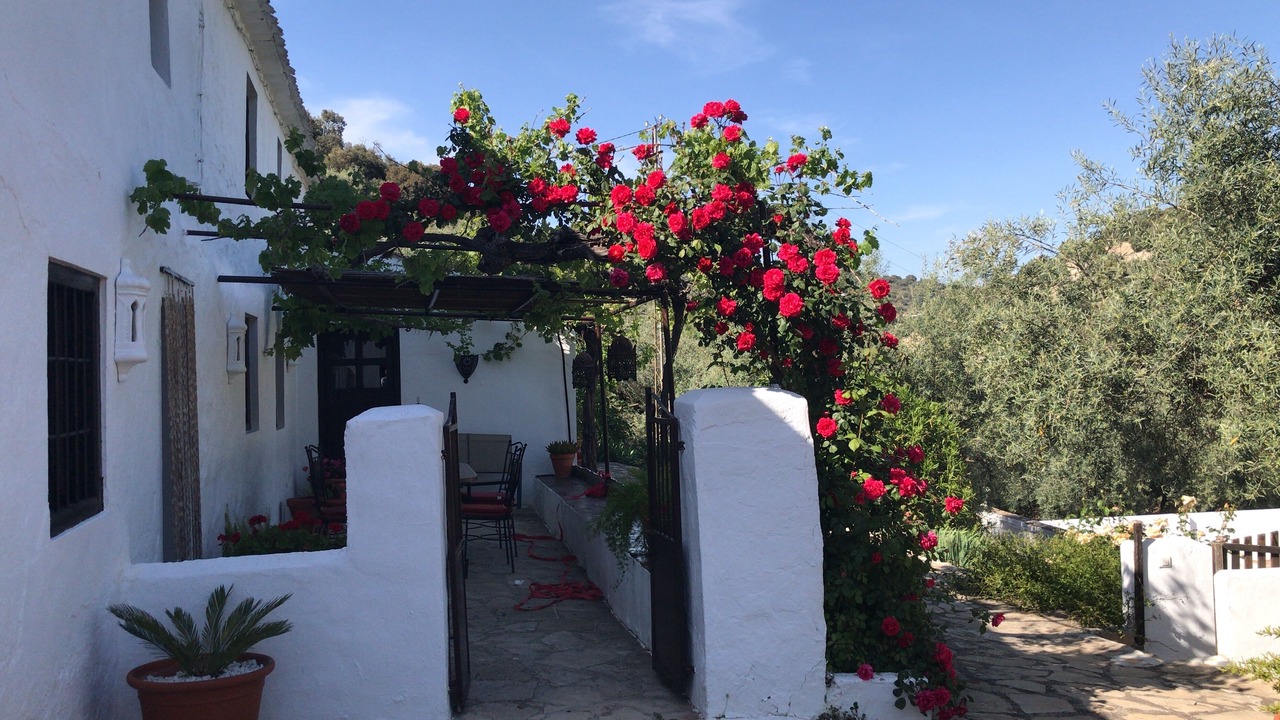 Photo of Outdoor in Villanueva de Tapia