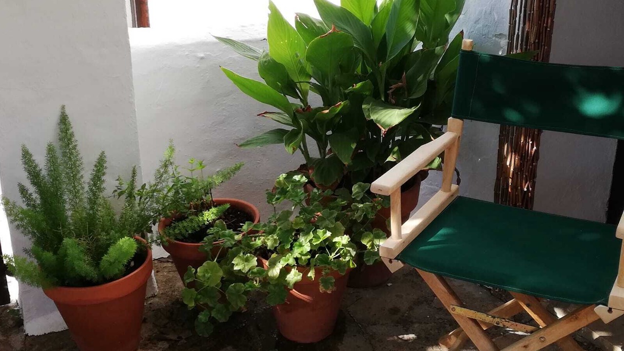 Photo of Outdoor in Villanueva de Tapia