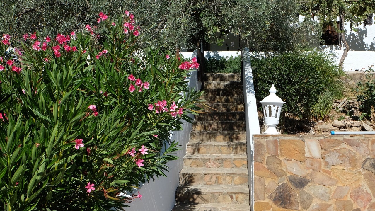 Photo of Outdoor in Villanueva de Tapia