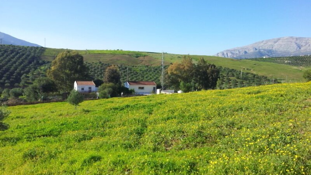 Photo of Others in Alora