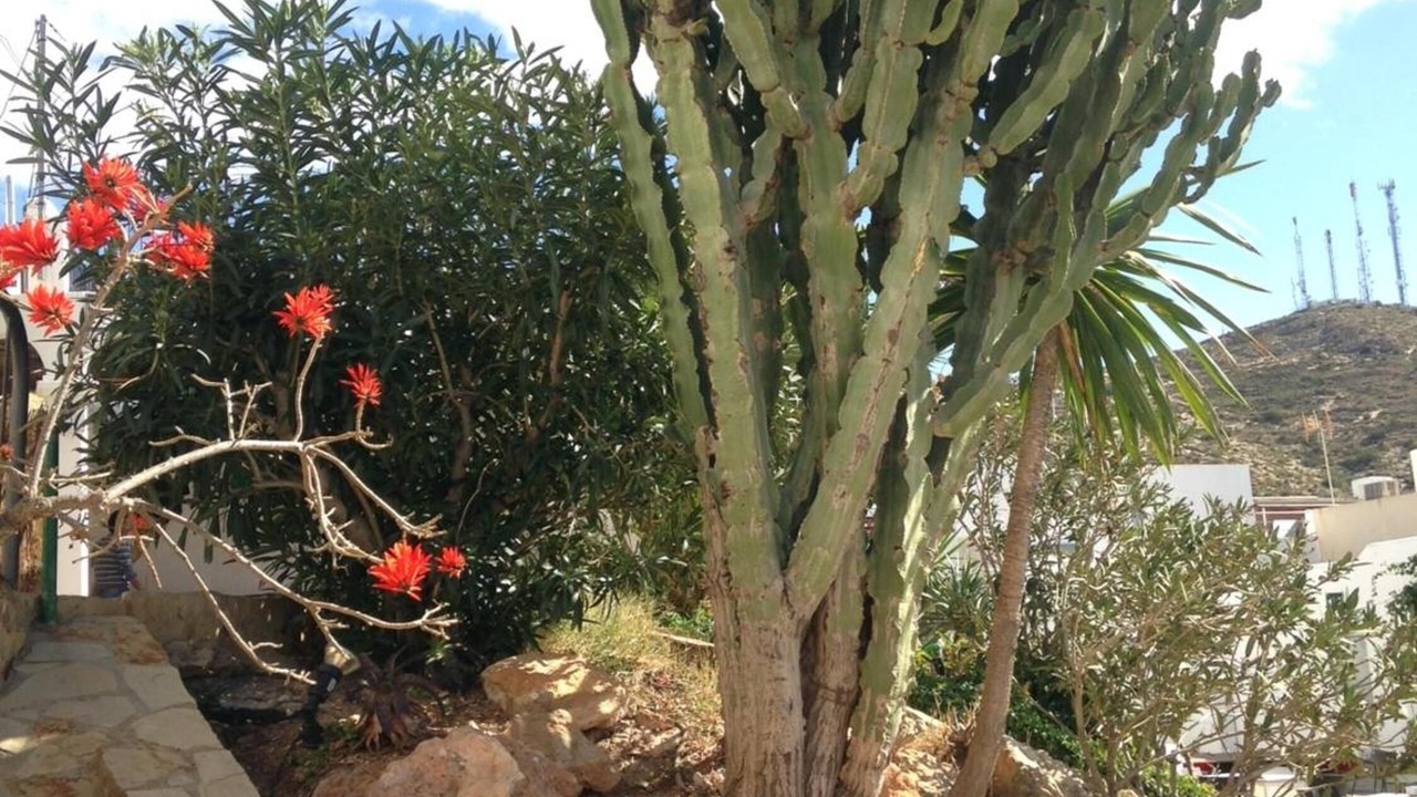 Photo of Outdoor in Mojacar
