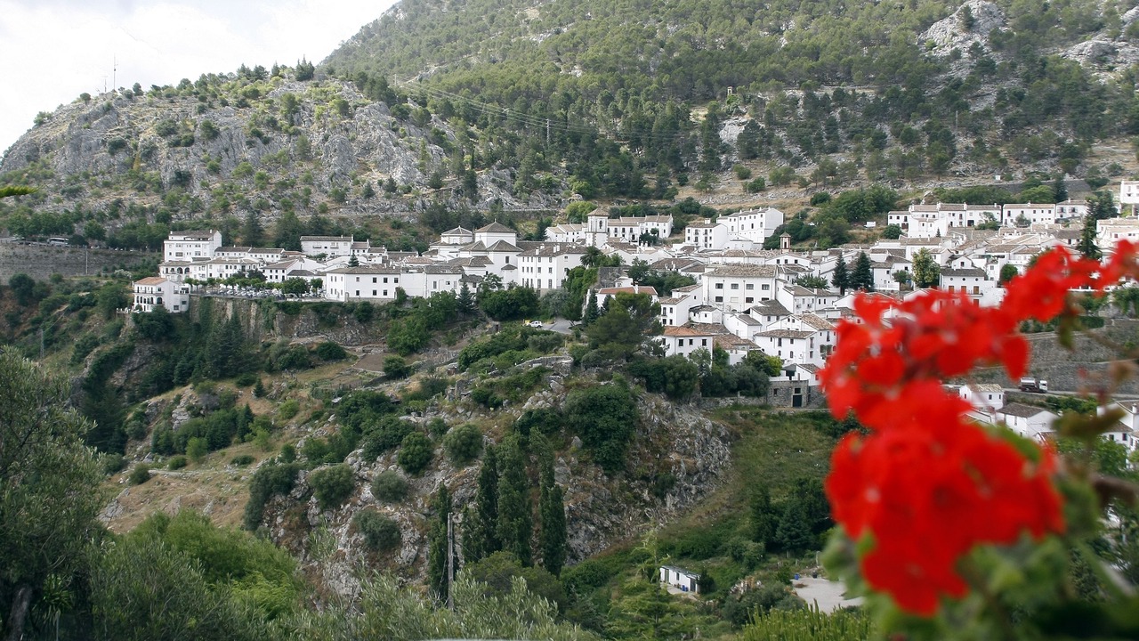 Photo of Others in Grazalema