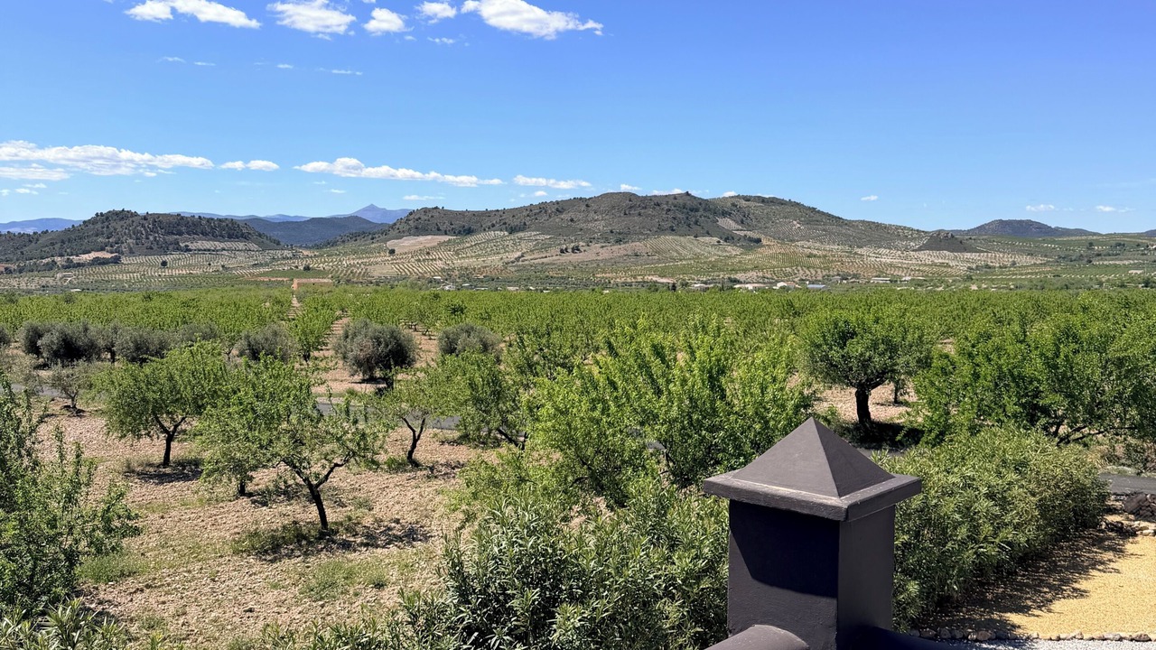 Photo of Outdoor in Oria