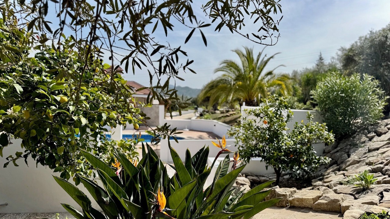 Photo of Outdoor in Alora