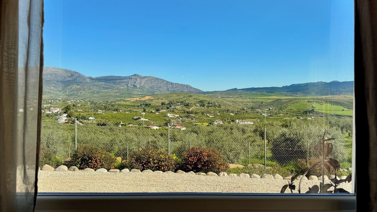 Photo of Others in Alora