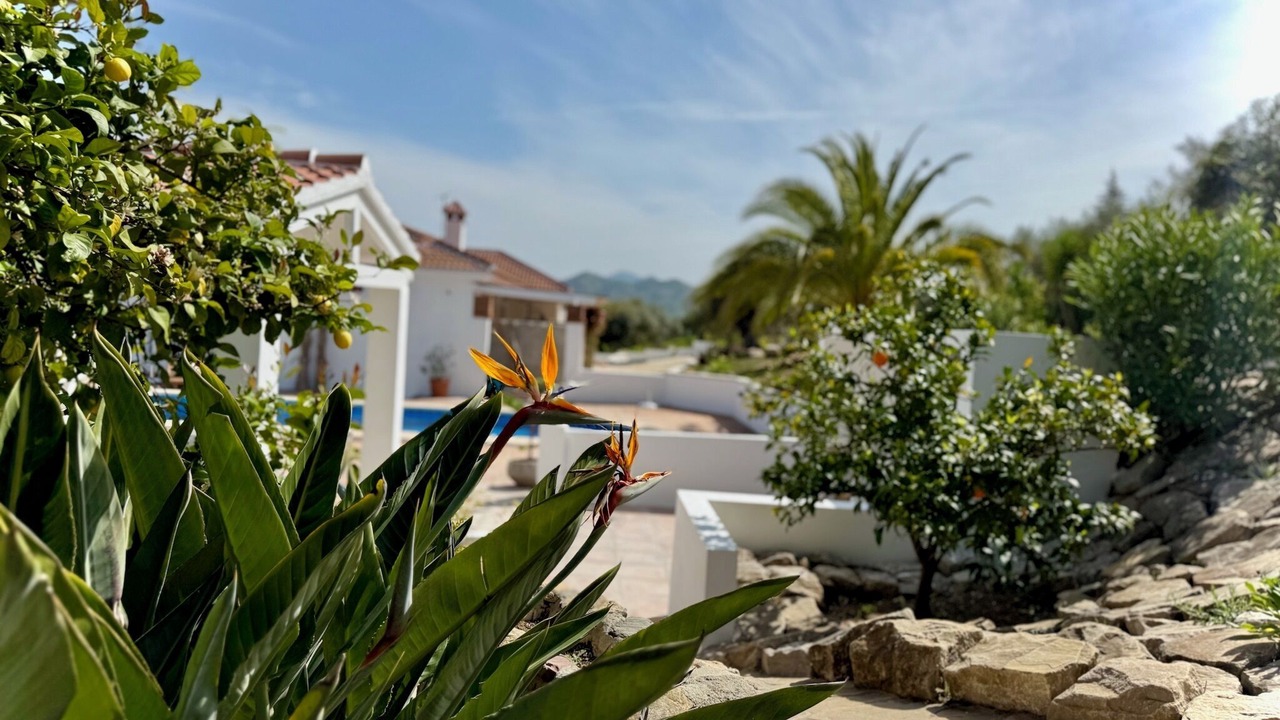 Photo of Outdoor in Alora