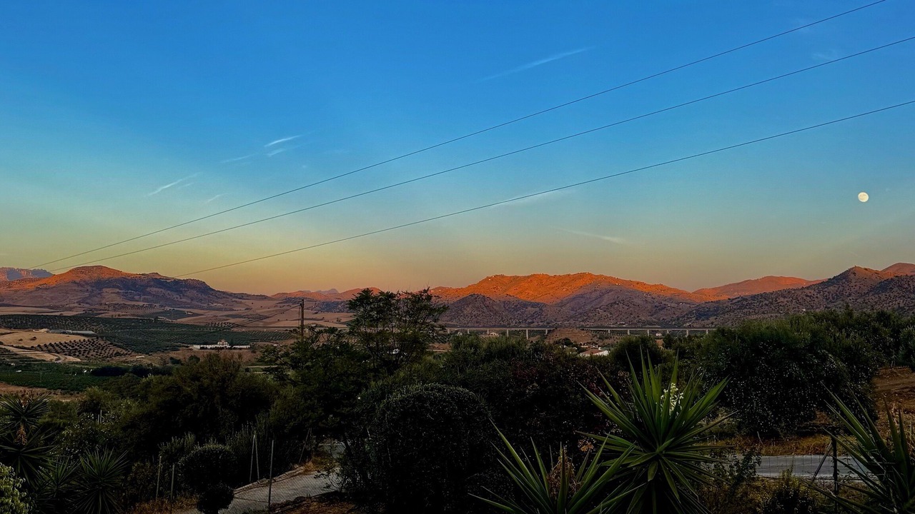 Photo of Outdoor in Alora