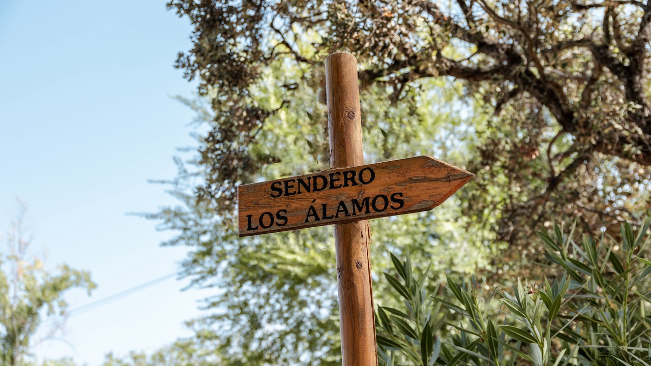 Photo of Outdoor in El Pedroso
