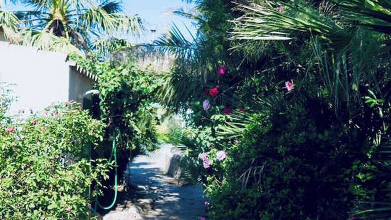 Photo of Outdoor in Cullar