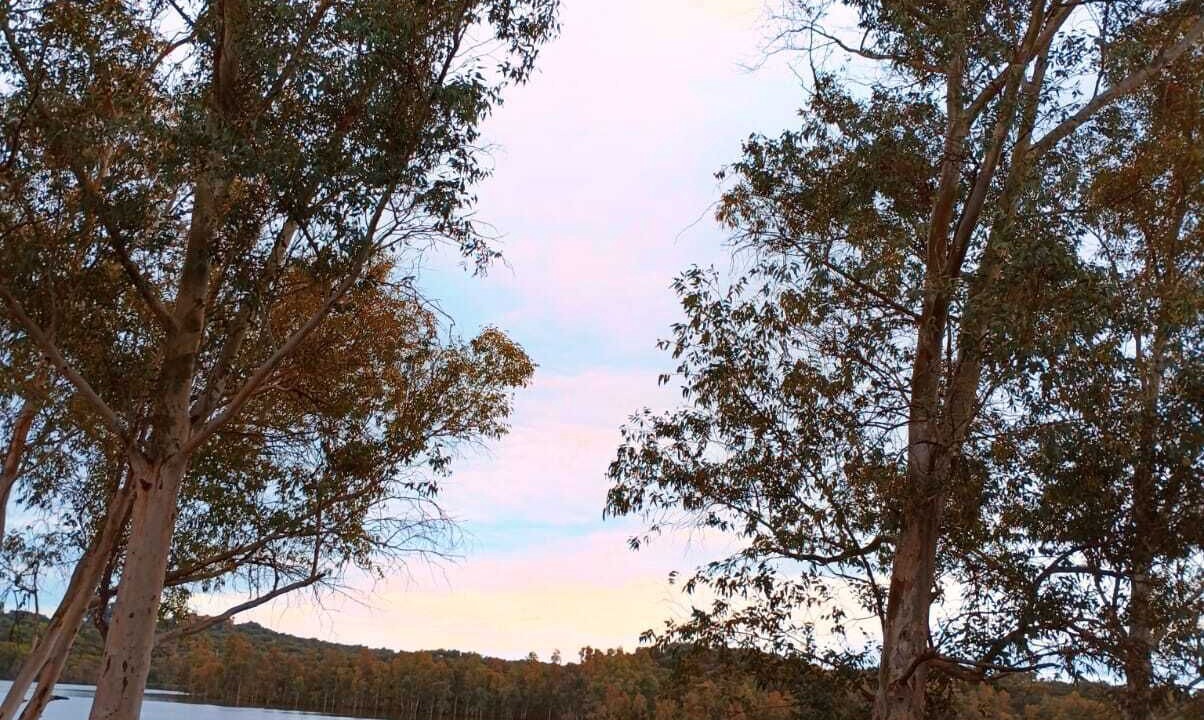 Photo of Outdoor in El Ronquillo