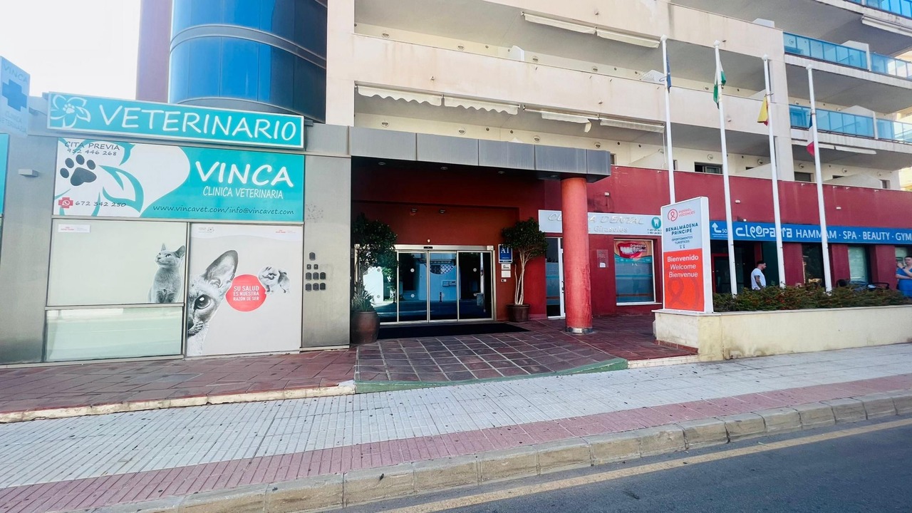 Photo of Others in Benalmadena Costa