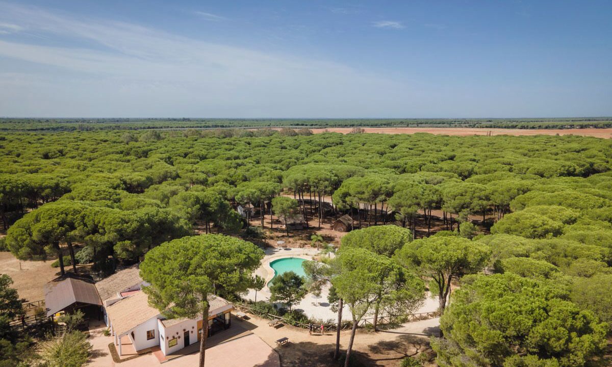 Photo of Outdoor in Hinojos