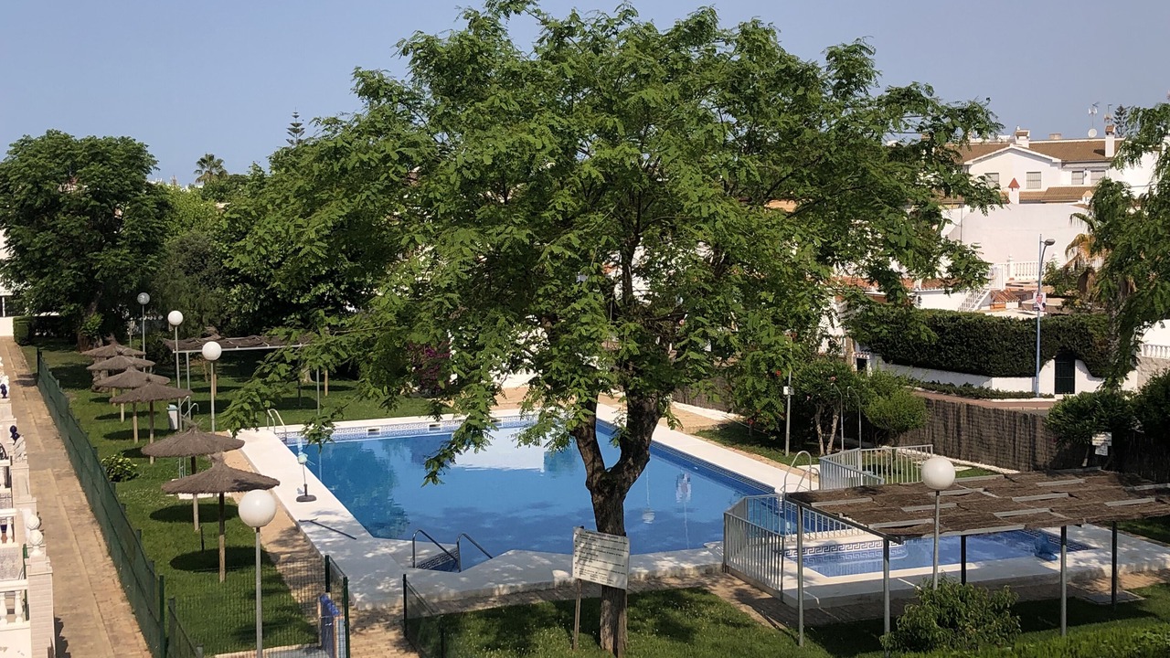 Photo of Outdoor in Sector P - Palmito