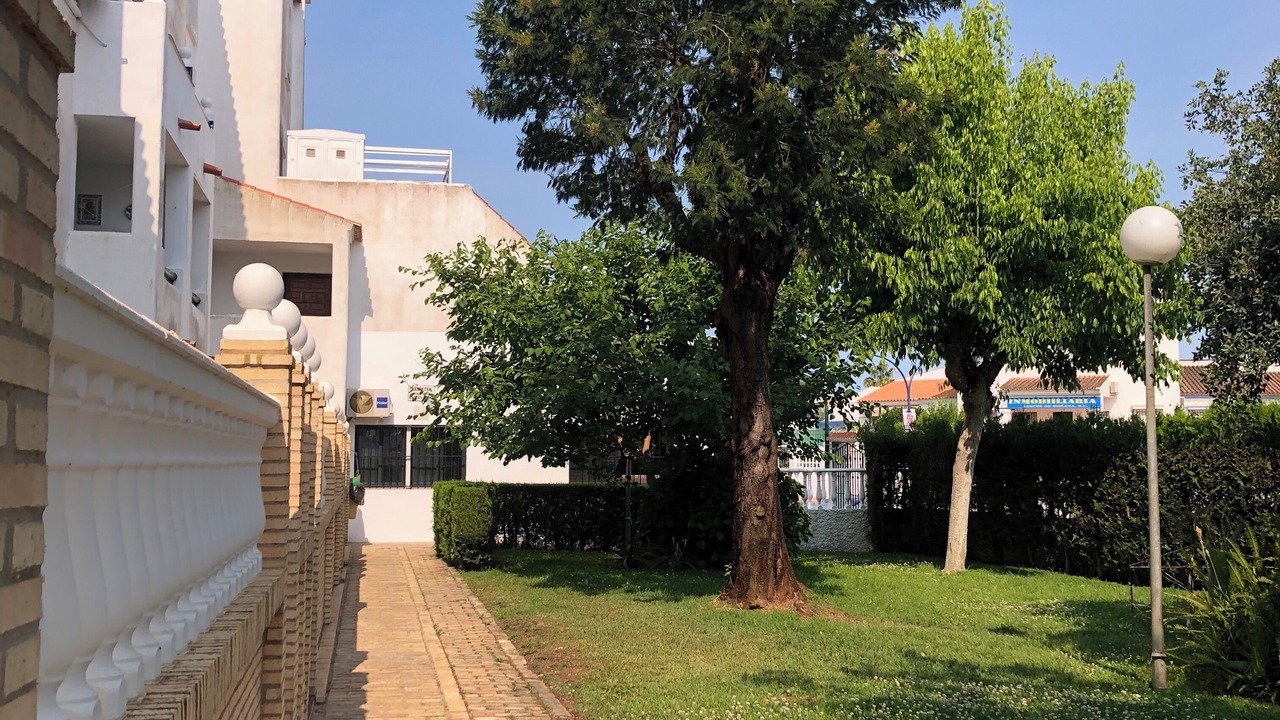Photo of Outdoor in Sector P - Palmito