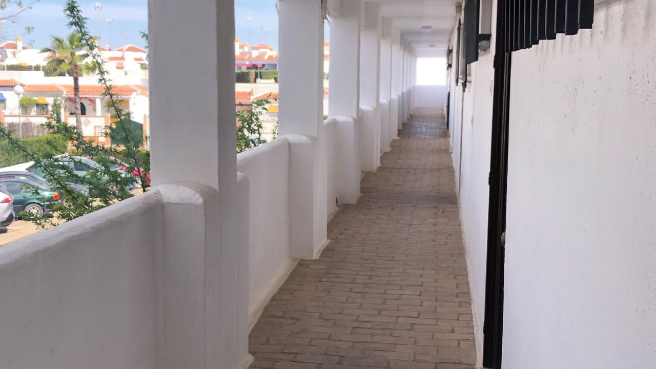 Photo of Outdoor in Sector P - Palmito
