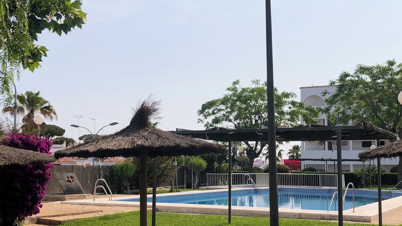 Photo of Outdoor in Sector P - Palmito