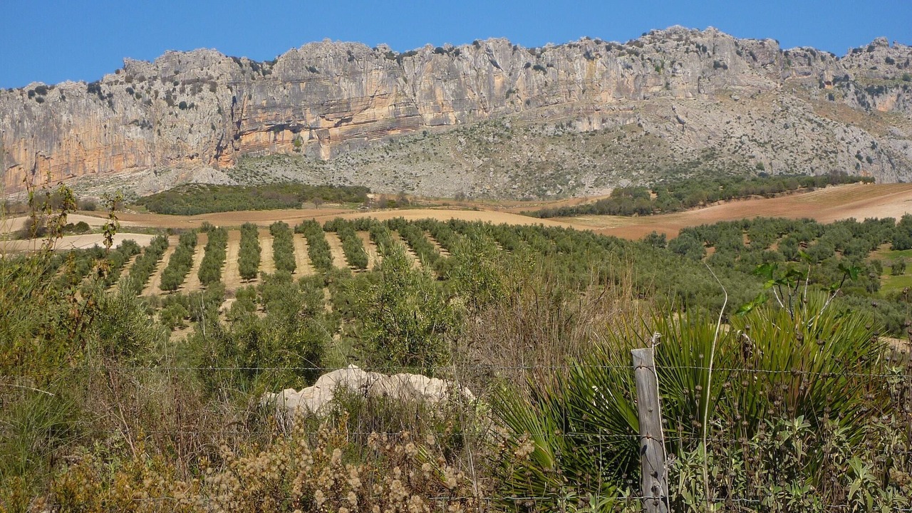 Photo of Others in Antequera