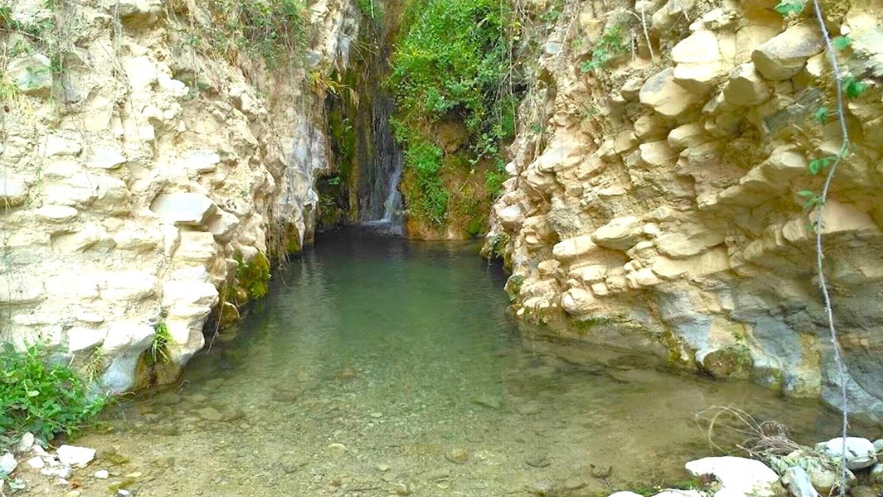 Photo of Others in Algarinejo