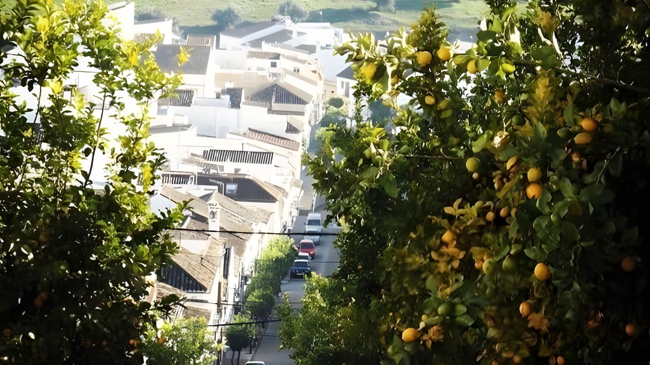 Photo of Others in Prado del Rey
