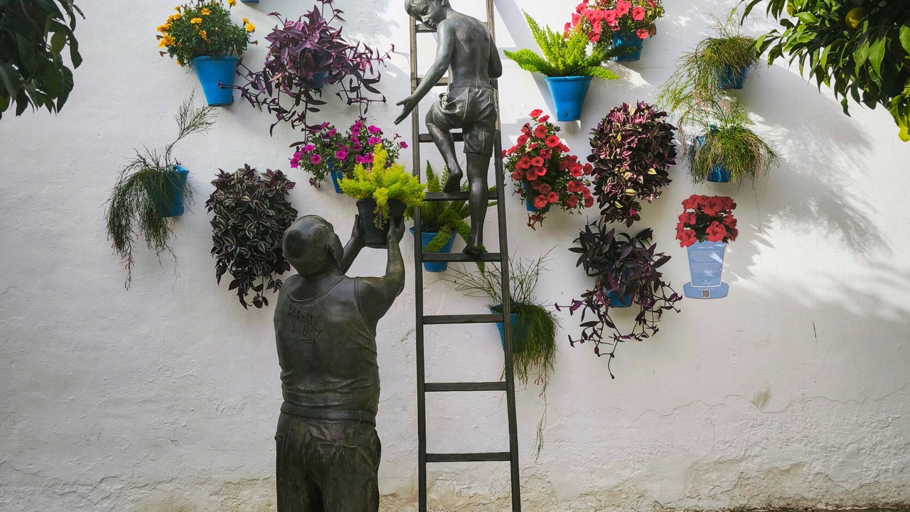 Photo of Outdoor in Huerta del Rey Vallellano