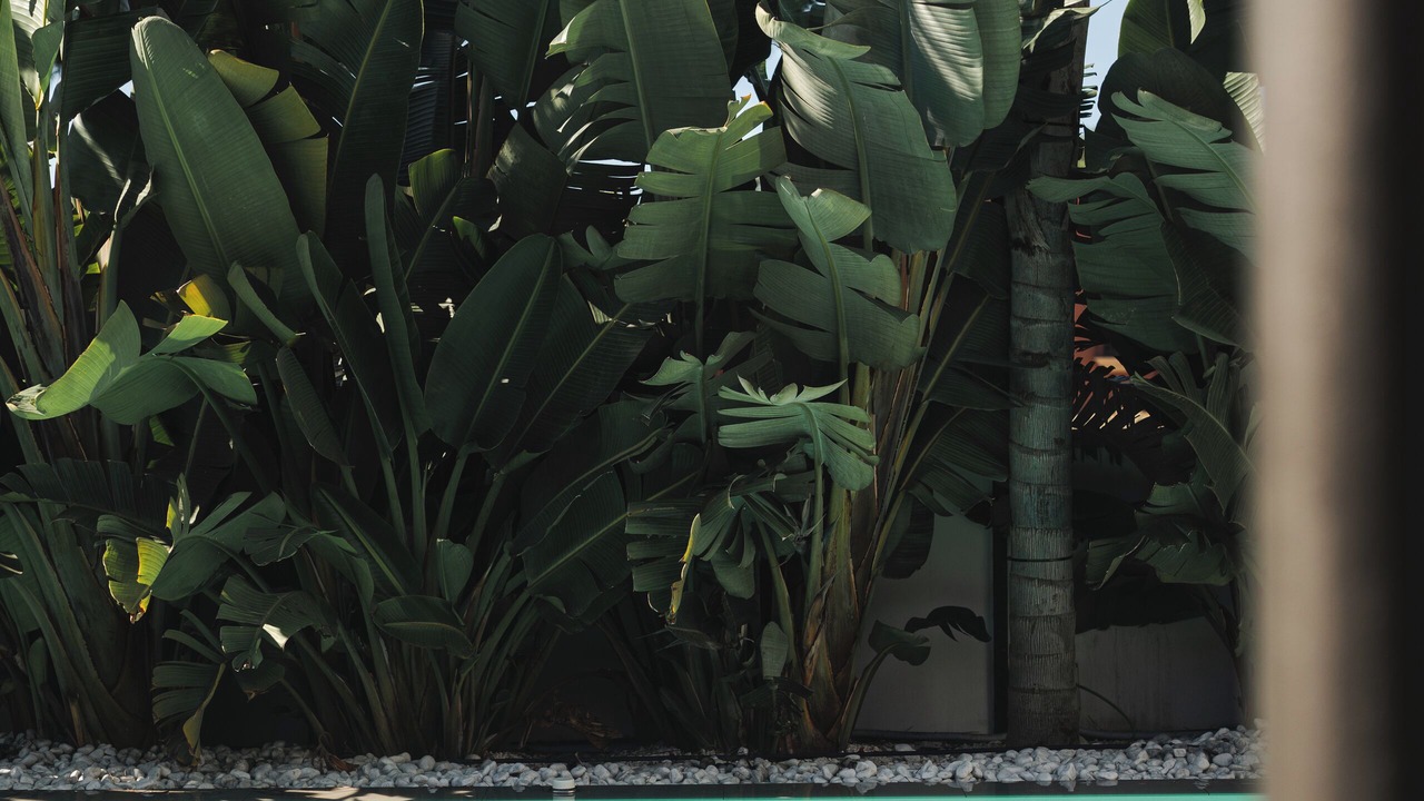 Photo of Outdoor in Chiclana de la Frontera