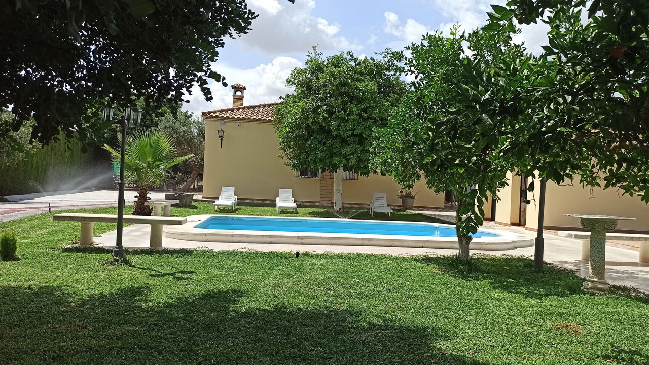 Photo of Outdoor in Marchena