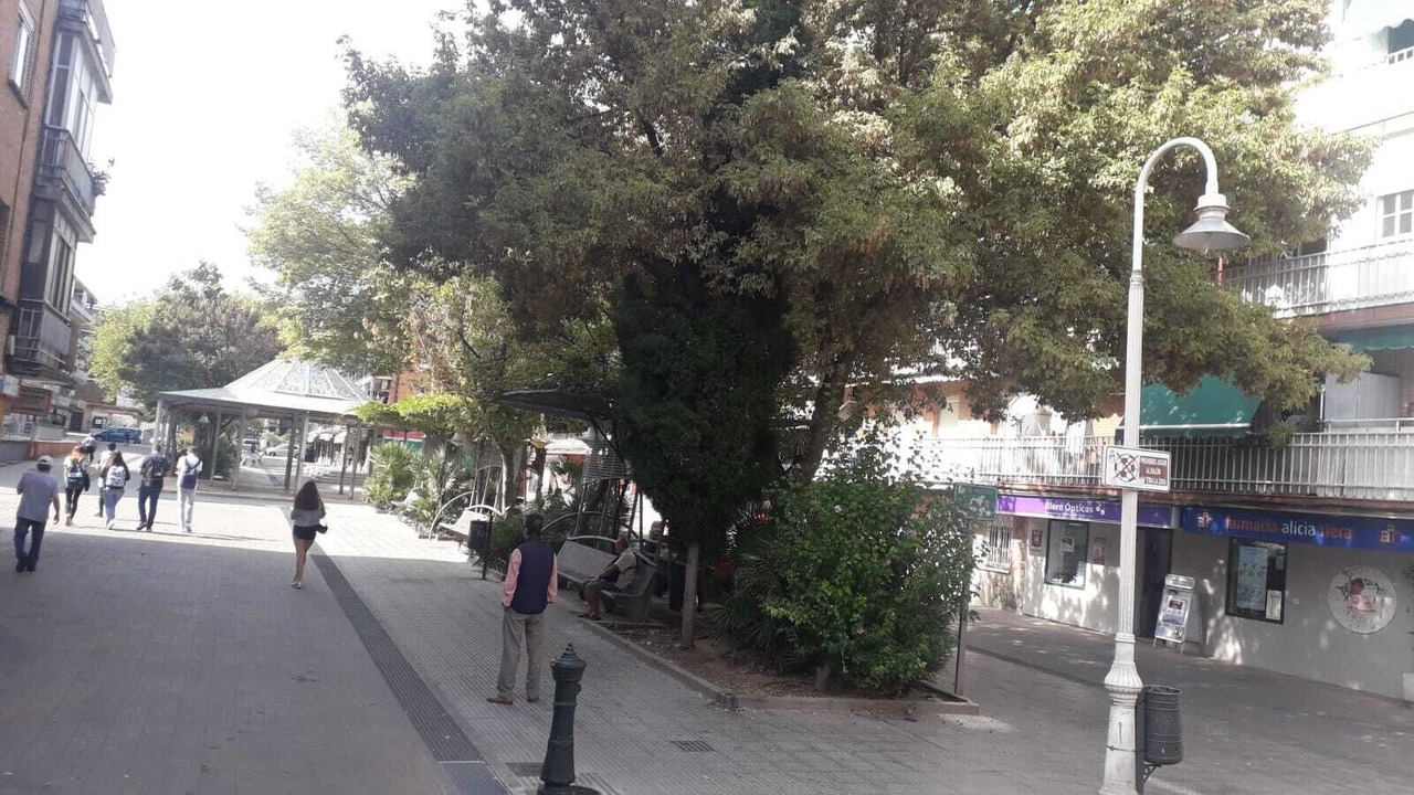 Photo of Others in Coslada