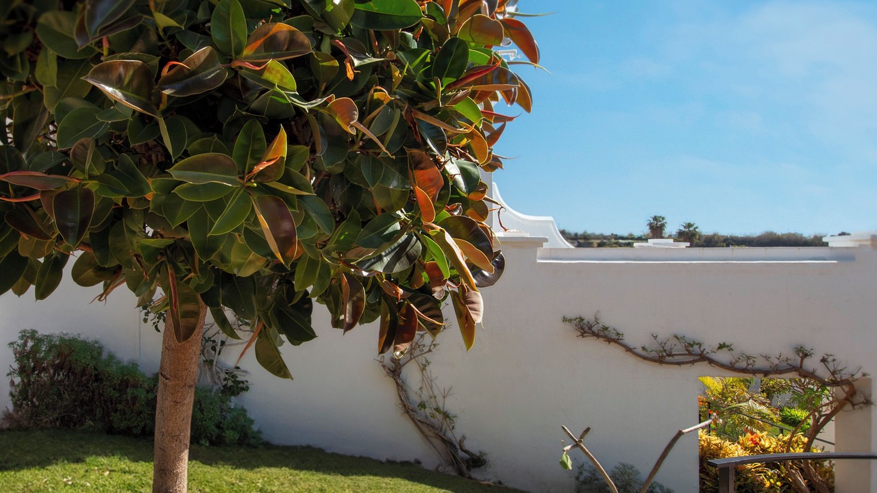 Photo of Outdoor in Oasis del Capistrano