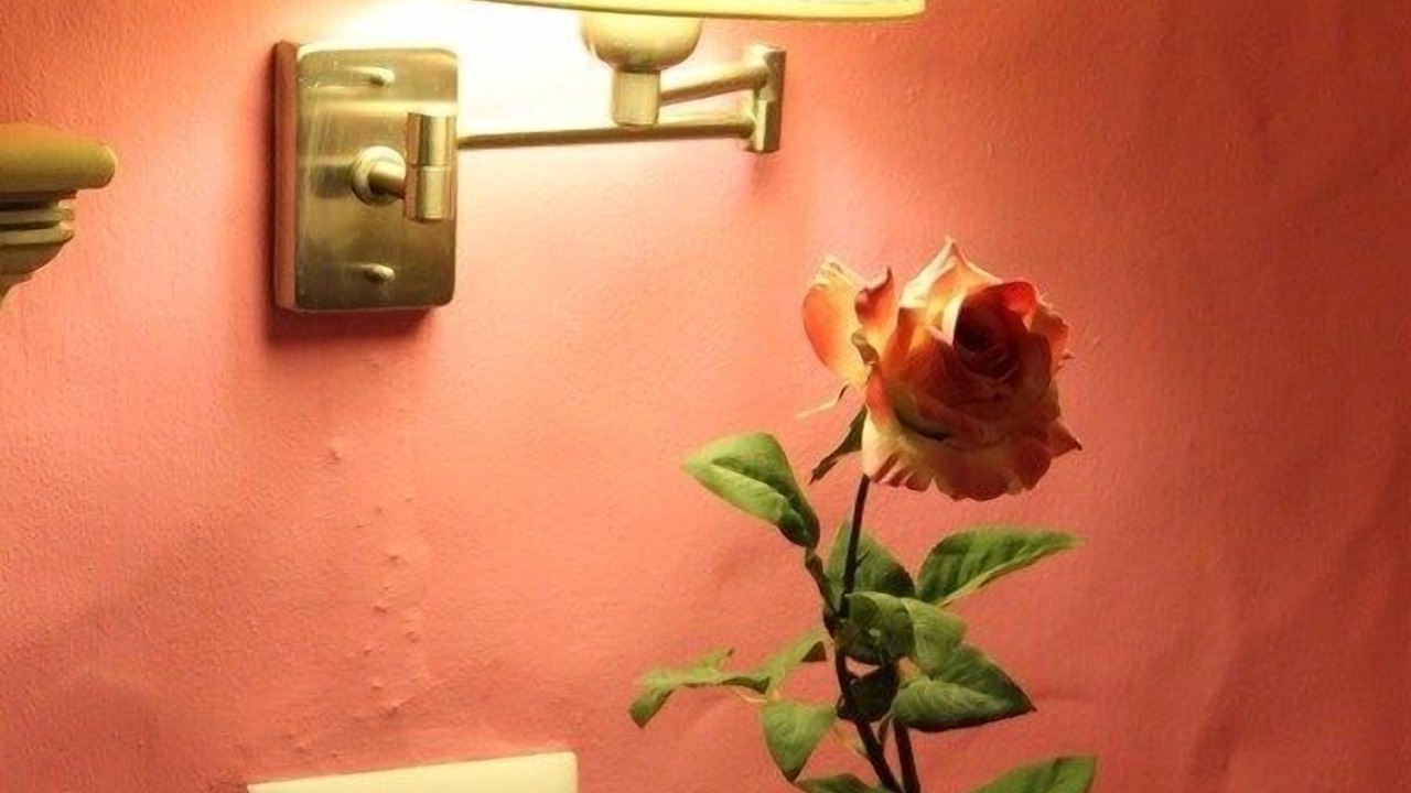 Photo of Bedroom in Conil de la Frontera City Center