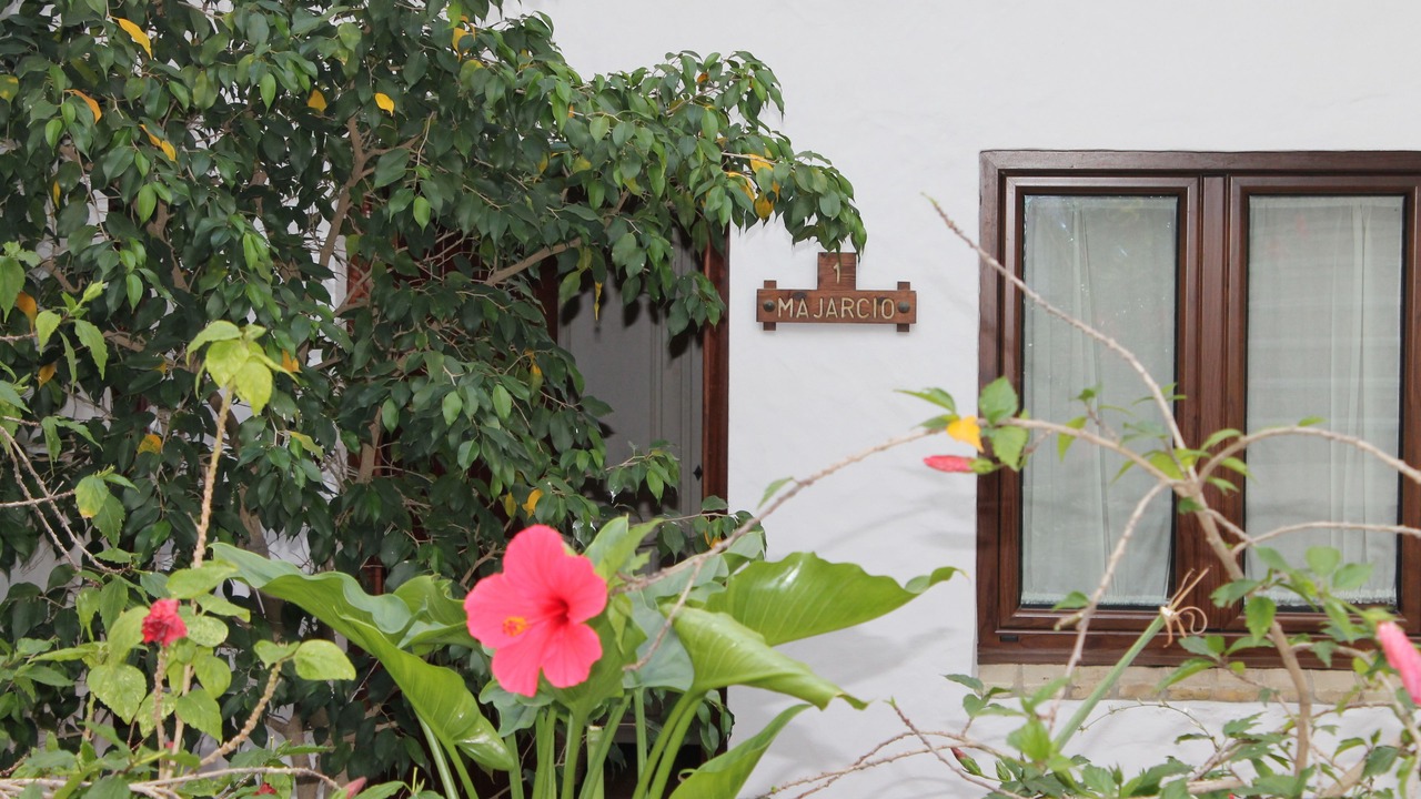 Photo of Outdoor in Conil de la Frontera City Center