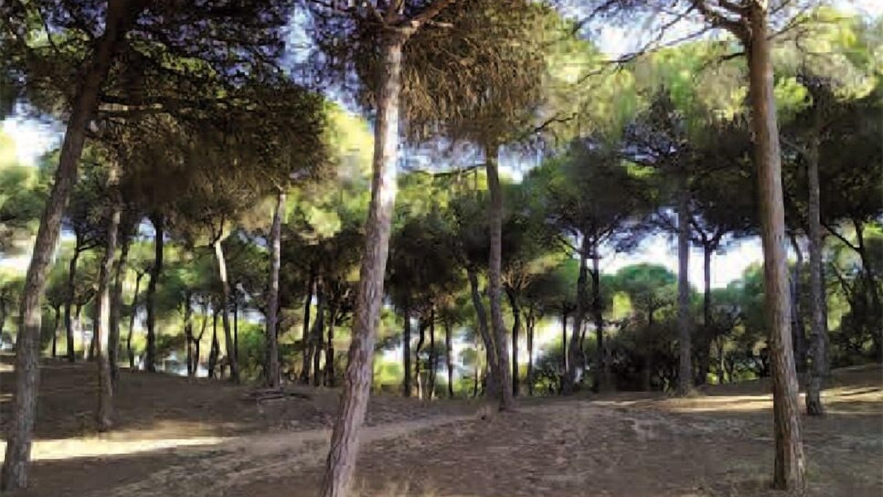 Photo of Outdoor in El Puerto de Santa Maria