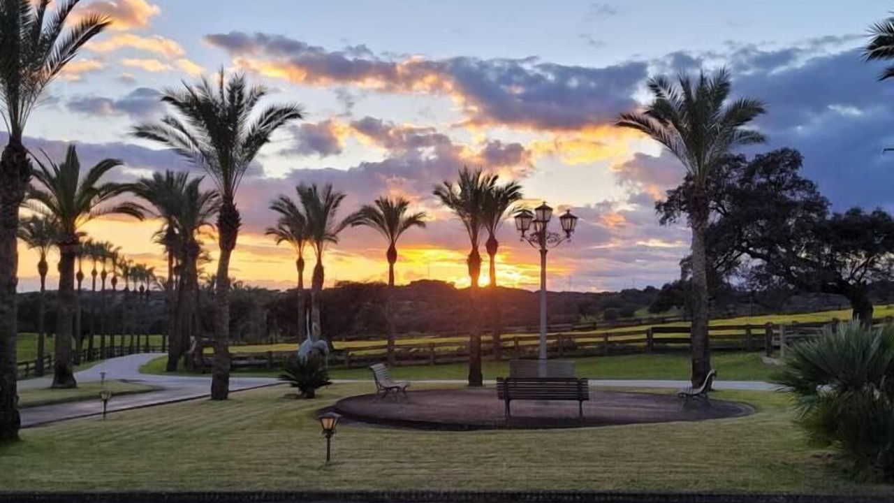 Photo of Outdoor in Guillena