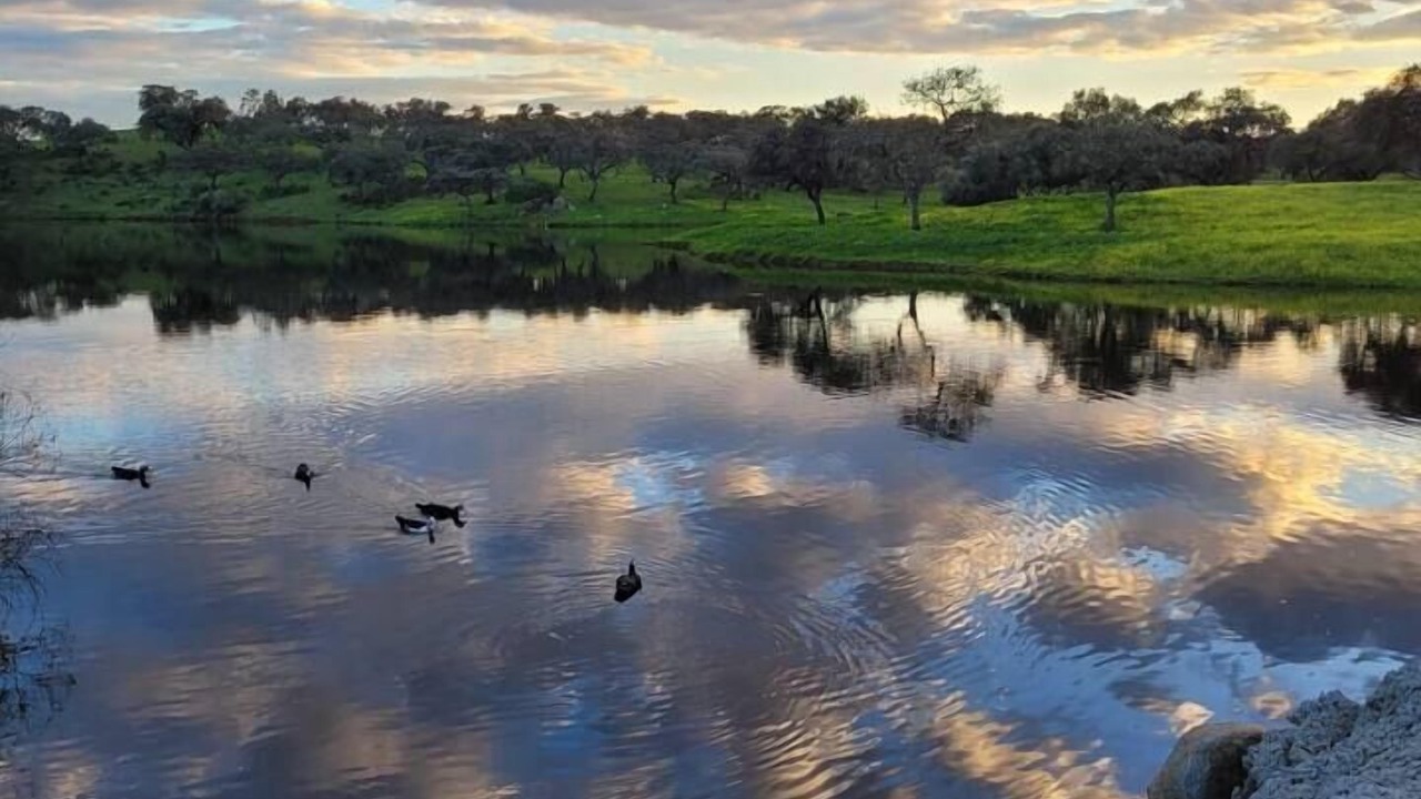 Photo of Outdoor in Guillena