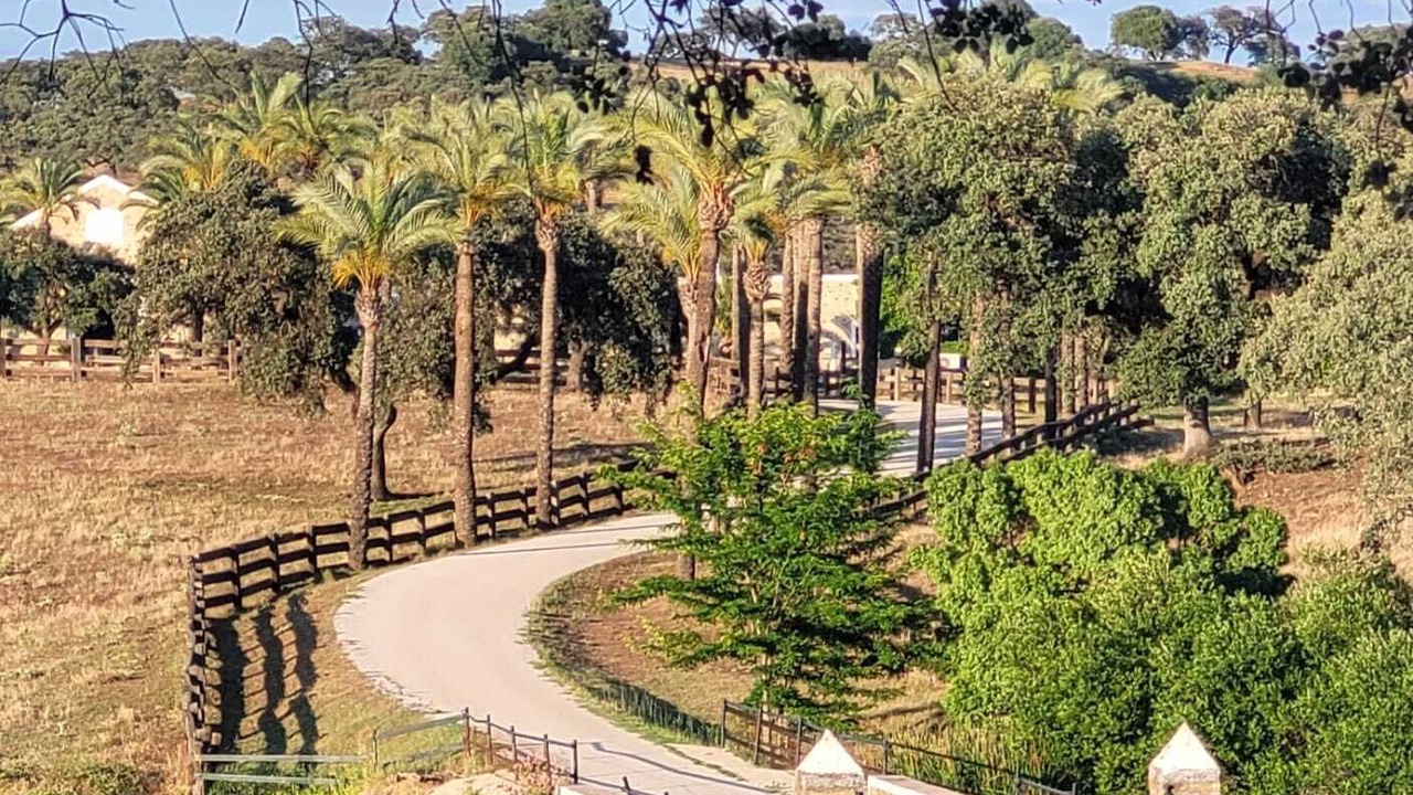 Photo of Outdoor in Guillena