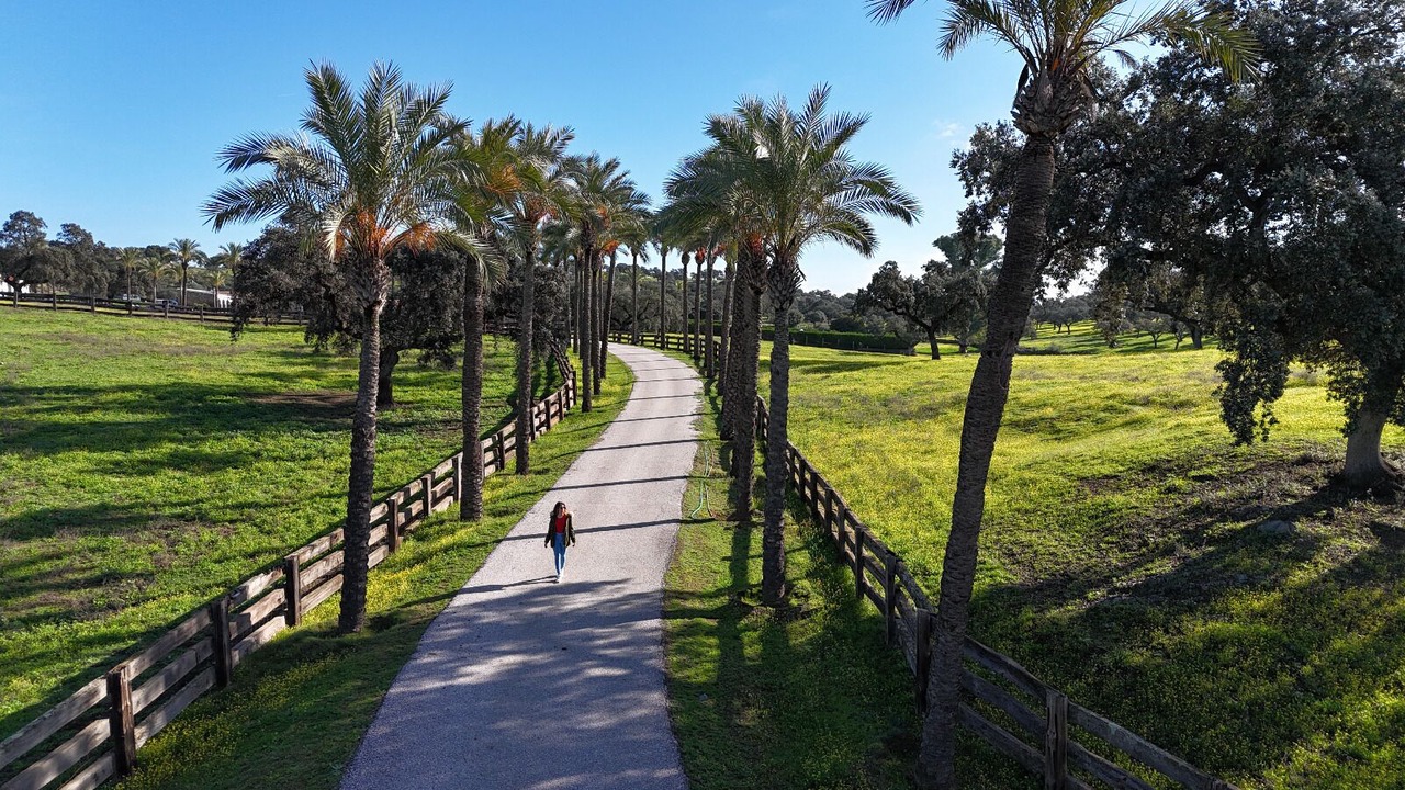 Photo of Outdoor in Guillena