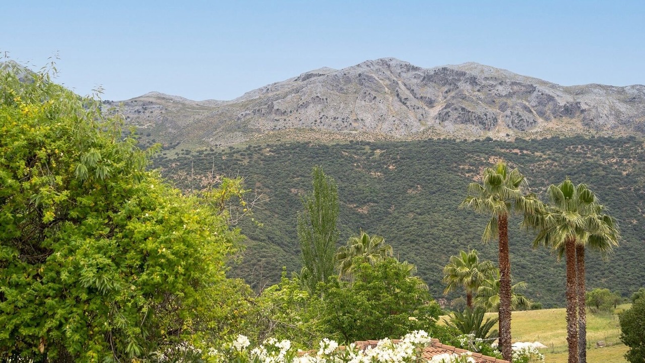 Photo of Others in Jimera de Libar