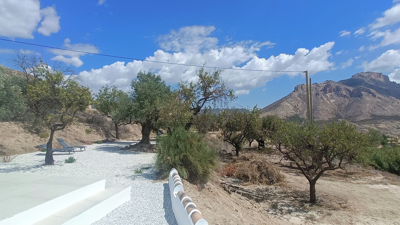 Photo of Outdoor in Velez-Blanco